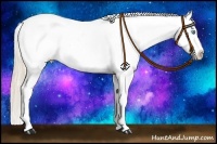 Horse Color:Perlino Near Leopard
