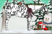 Horse Color:Smoky Black Near Leopard 