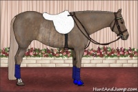 Horse Color:Silver Black Rabicano  and Chocolate Palomino Rabicano 