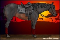 Horse Color:Brown Rabicano Brindle