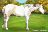 Horse Color:Bay Pearl Dun Splash Tobiano