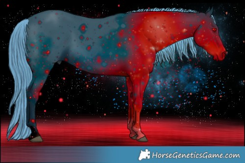 Horse Color:ERROR: UNKNOWN ANOMALY