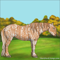 Horse Color:Smoky Creme Sabino  Brindle