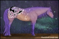 Horse Color:Watercolor Bay Appaloosa 