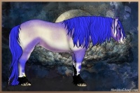 Horse Color:Watercolor Bay Roan Onyx Sabino