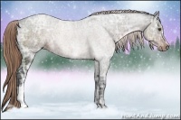 Horse Color:Liver Chestnut Ice 