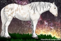 Horse Color:Chocolate Silver Grullo Ice Pearl Tobiano Appaloosa 