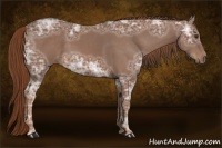 Horse Color:Chestnut Ice 