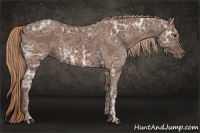 Horse Color:Chestnut Ice 