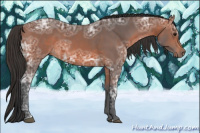 Horse Color:Bay Ice 