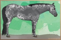 Horse Color:Black Ice 