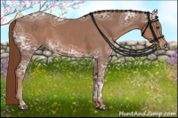 Horse Color:Chestnut Ice 