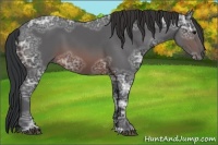 Horse Color:Brown Ice 