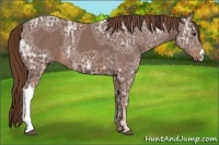 Horse Color:Chestnut Ice 