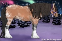 Horse Color:Bay Ice 