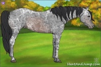 Horse Color:Brown Ice 