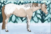 Horse Color:White Spotted Liver Chestnut Ice Pearl Splash Tobiano Appaloosa Rabicano