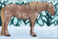 Horse Color:Chestnut Ice 