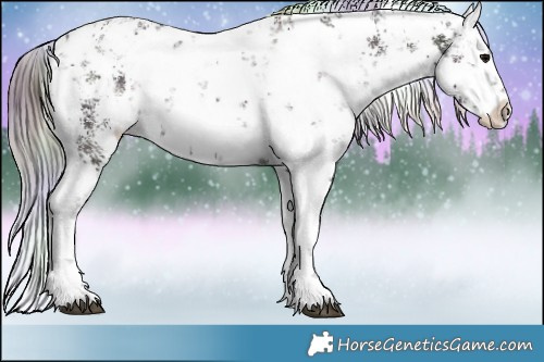 Horse Color:Nacre White Spotted Chocolate Brown Ice Sabino 