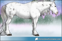 Horse Color:Nacre White Spotted Chocolate Brown Ice Sabino