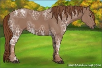Horse Color:Chestnut Ice 