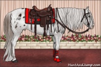 Horse Color:Liver Chestnut Ice Appaloosa 