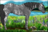 Horse Color:Black Ice