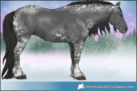 Horse Color:Liver Chestnut Ice Sabino 