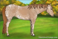 Horse Color:Chestnut Ice 