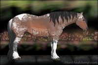 Horse Color:Bay Ice Tobiano