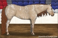 Horse Color:Red Dun Ice 