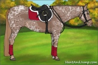 Horse Color:Chestnut Ice 