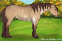 Horse Color:Chocolate Brown Dun Sabino  Brindle