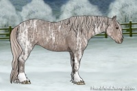Horse Color:Silver Black Ice