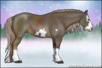 Horse Color:Chocolate Palomino Splash Frame 