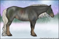 Horse Color:Liver Chestnut Rabicano 