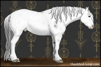 Horse Color:Black Sabino 