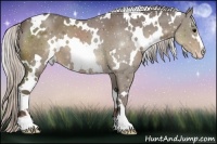 Horse Color:White Spotted Silver Black Sabino