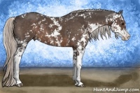 Horse Color:Silver Black Sabino