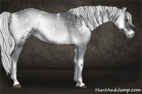 Horse Color:White Spotted Silver Blue Onyx Chinchilla 