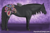 Horse Color:Black 