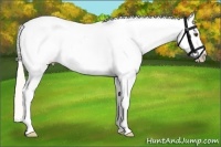 Horse Color:White Spotted Silver Bay Blanket 