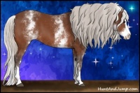 Horse Color:White Spotted Silver Bay Splash 