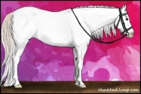 Horse Color:White Spotted Silver Bay Splash