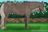 Horse Color:Silver Black 