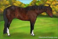 Horse Color:Bay Ice 