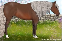 Horse Color:Silver Brown 