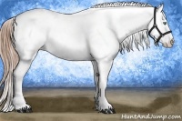 Horse Color:Smoky Black Pearl Sabino Appaloosa Rabicano