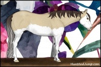 Horse Color:Classic Champagne Dun Splash Frame 