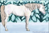 Horse Color:Palomino Ice Pearl